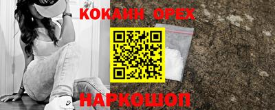 прущие грибы Кандалакша