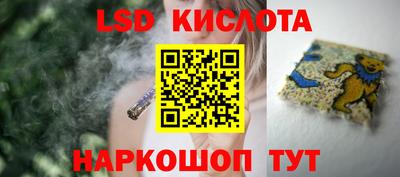 прущие грибы Кандалакша
