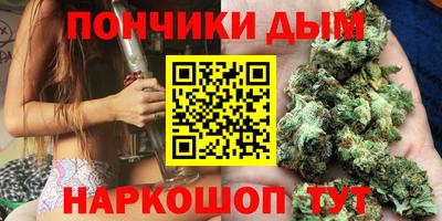 прущие грибы Кандалакша