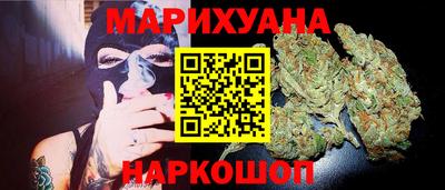 прущие грибы Кандалакша