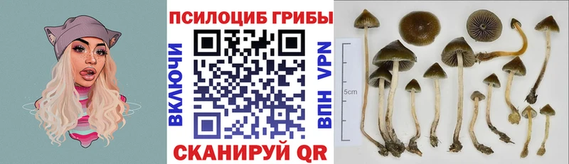 Псилоцибиновые грибы GOLDEN TEACHER Азов