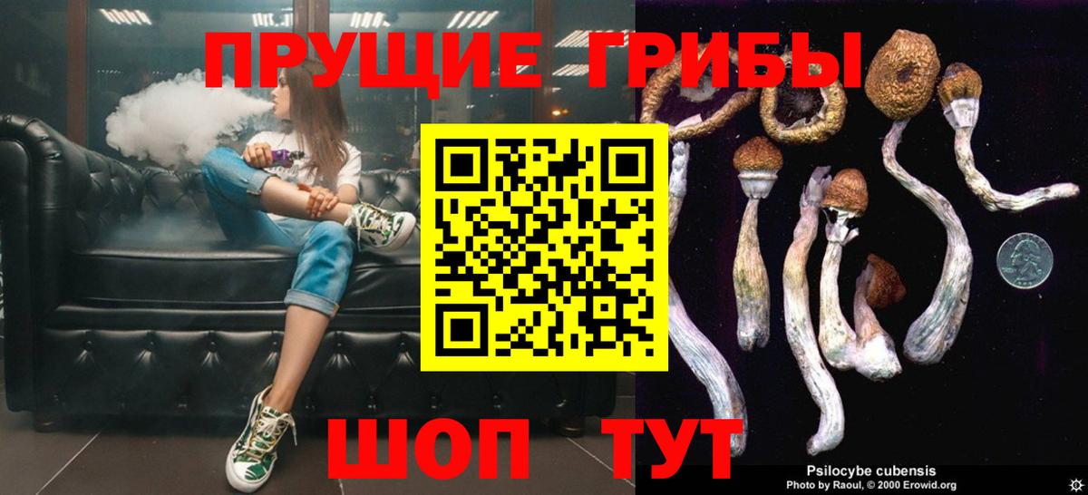 Псилоцибиновые грибы Psilocybine cubensis Азов