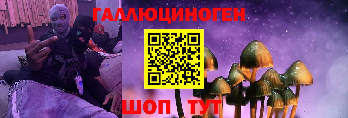 Псилоцибиновые грибы MAGIC MUSHROOMS Азов